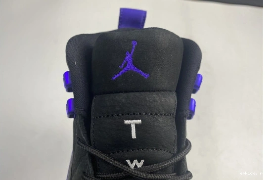 Cheap EP CT8013-005 Retro Jordan CT8013-005 Concord Black Air 12 Dark 0317